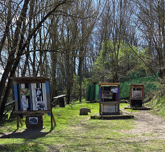 Parcours Jeunes