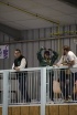 Championnat R&eacute;gional Jeunes &agrave; Muret