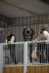 Championnat R&eacute;gional Jeunes &agrave; Muret